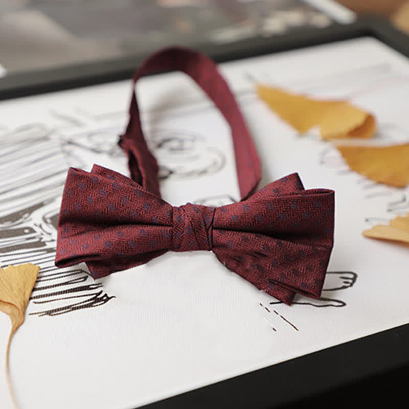 Nœud papillon Gentleman pour homme de la série Burgundy