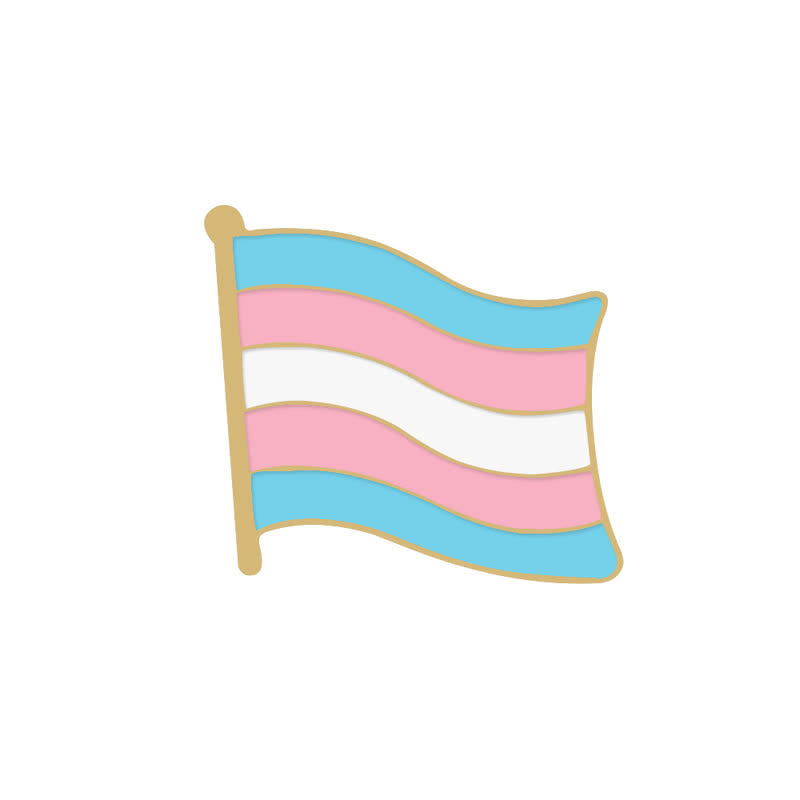 Lot de 6 broches avec drapeau arc-en-ciel rose et bleu pour la Journée de la fierté