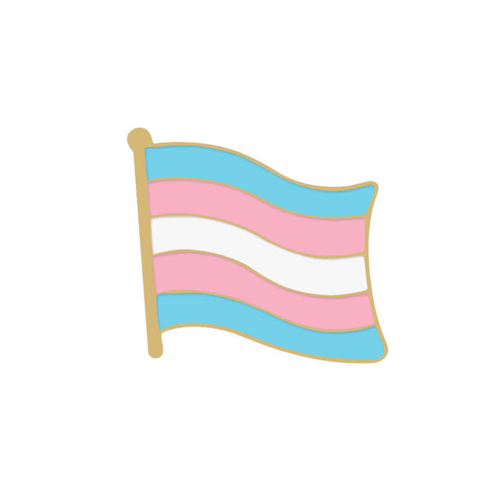 Lot de 6 broches avec drapeau arc-en-ciel rose et bleu pour la Journée de la fierté