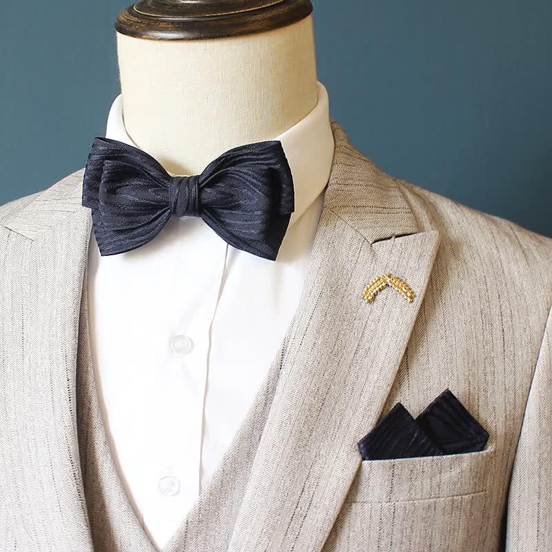 Ensemble de 2 nœuds papillon plissés à rayures pour hommes