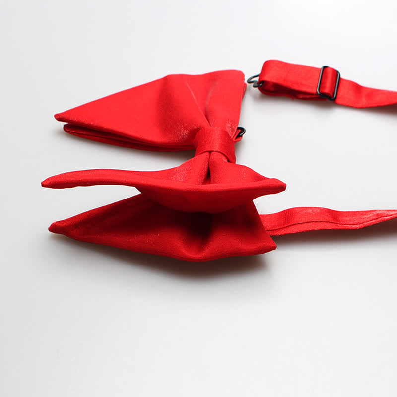 Nœud papillon surdimensionné en satin de soie brillant pour homme