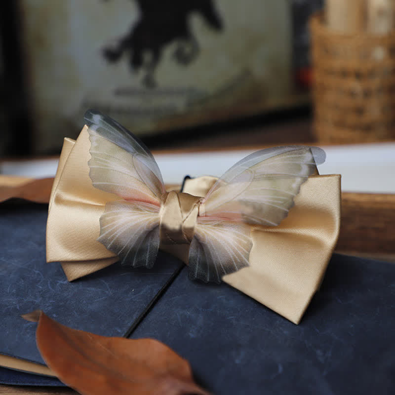 Ensemble de mouchoirs de poche vintage en organza pour homme avec nœud papillon papillon