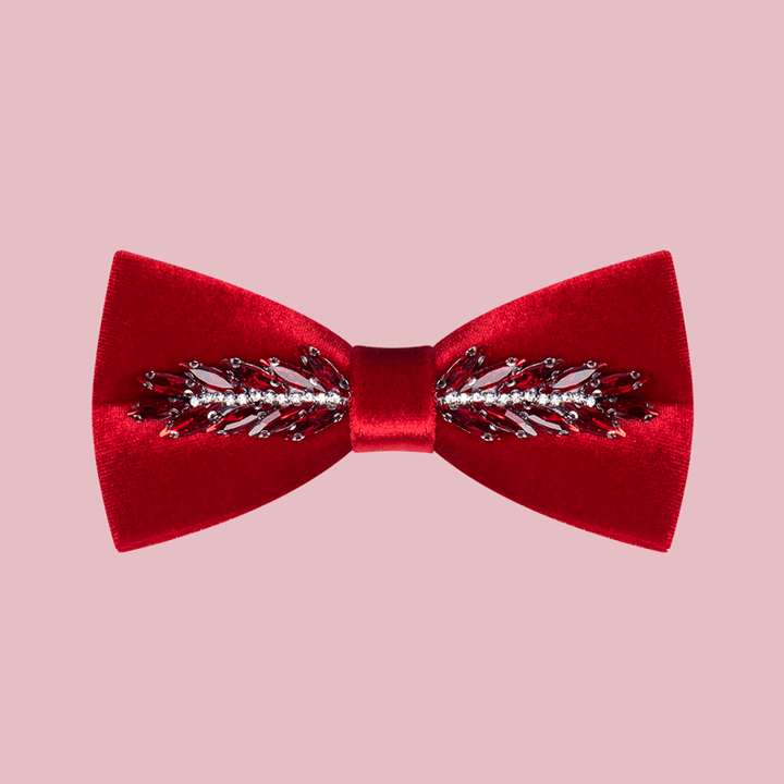 Nœud papillon en velours cristal pour homme