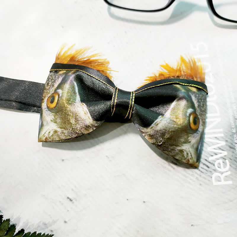 Noeud papillon drôle en plumes de hibou pour homme