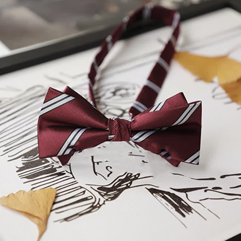 Nœud papillon Gentleman pour homme de la série Burgundy