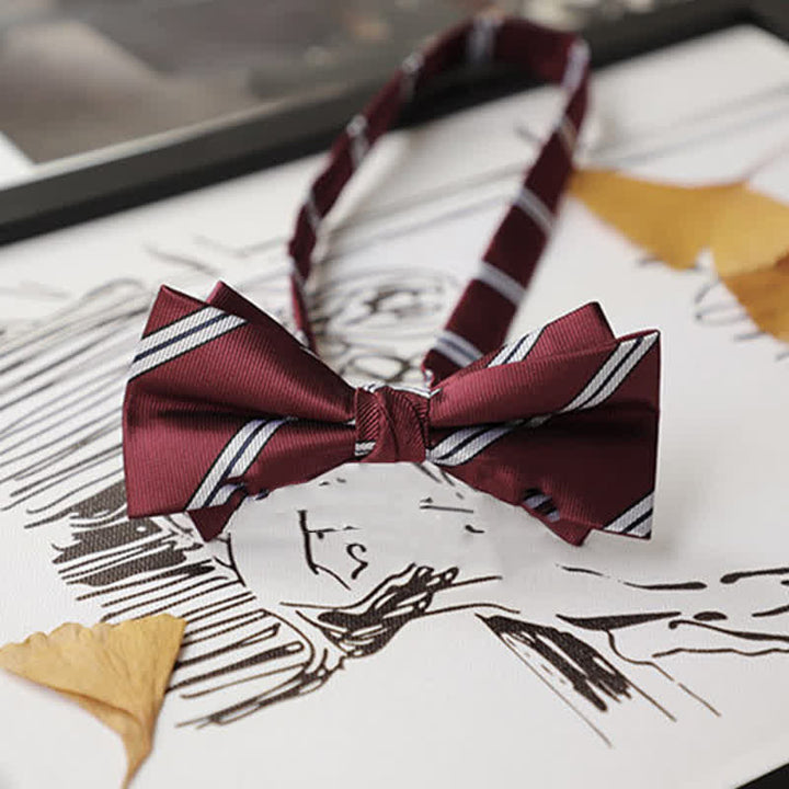 Nœud papillon Gentleman pour homme de la série Burgundy