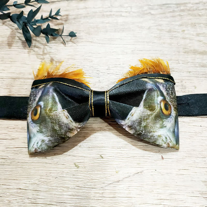 Noeud papillon drôle en plumes de hibou pour homme
