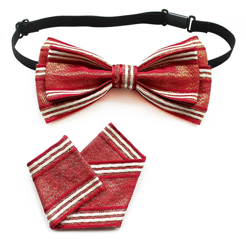 Ensemble de 2 nœuds papillon plissés à rayures pour hommes