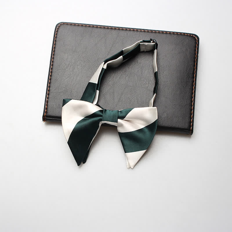 Nœud papillon surdimensionné à rayures pour homme
